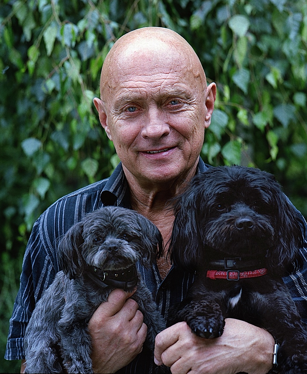 brand-01 elder man, dogs, puppy, man, senior, old, elderly, retired, people, pet, person, nature, animal, love, aged, older, care, happy, calm, human, company, lifestyle, outdoor, smiling, happiness